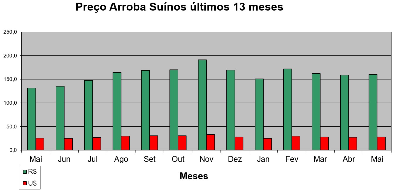 Últimos 13 meses