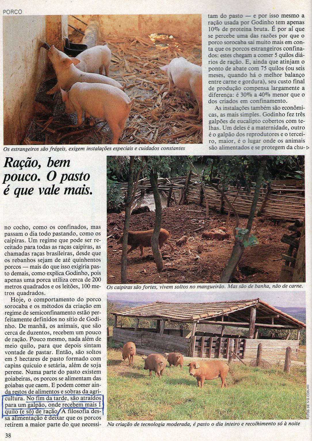 Revista