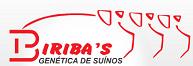 Biribas Gen&eacute;tica de Su&iacute;nos