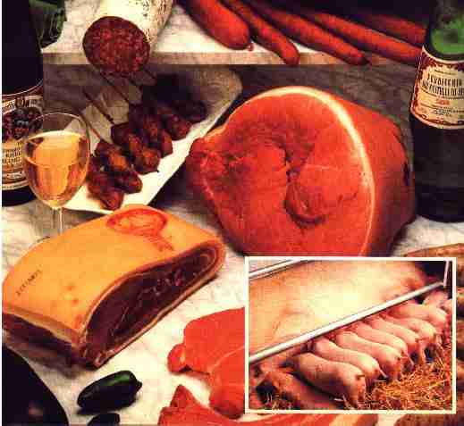 PRODUTOS SU�NOS