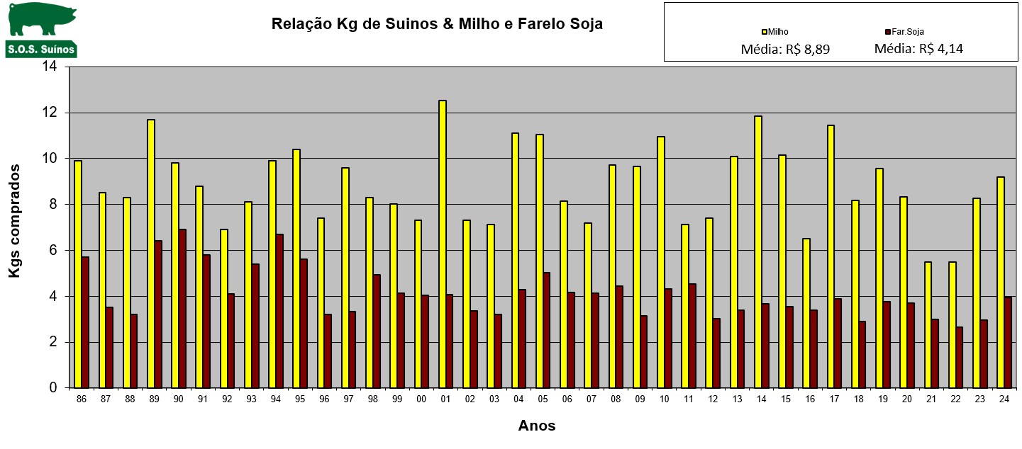 Grafico Mercado