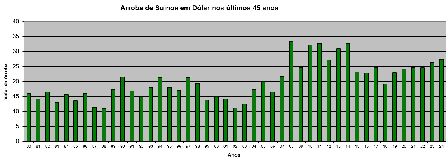 Grafico Mercado