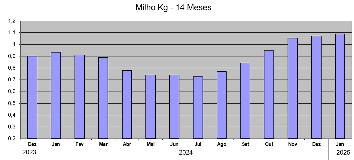 Grafico Mercado