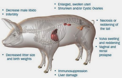 Fig 01