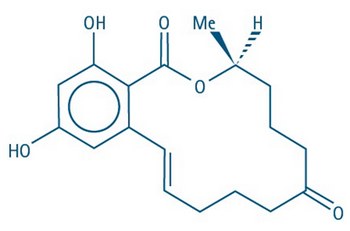 Fig 02