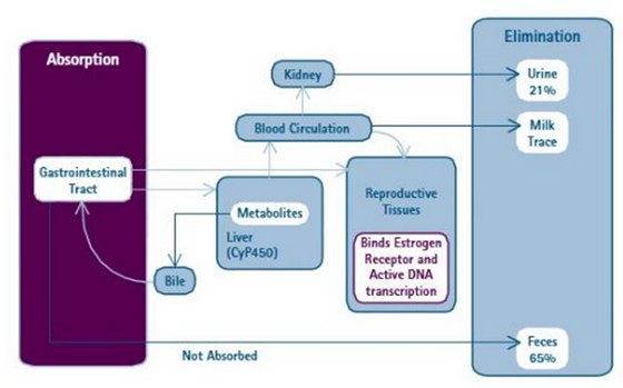 Fig 04