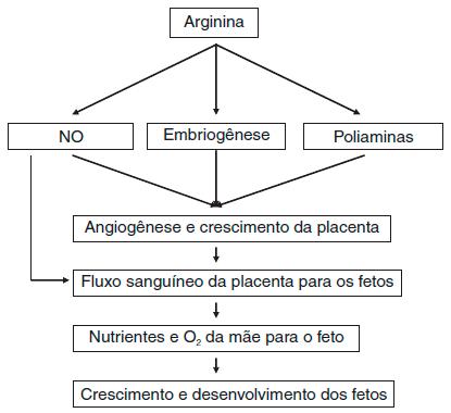 Fig 02