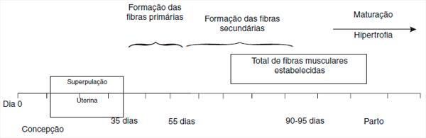 Fig 03