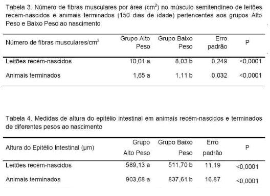 Tabela 03