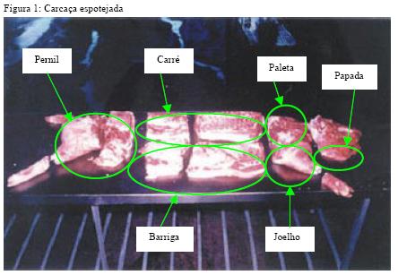 Fig.1