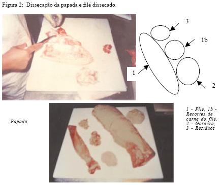 Fig.2